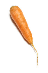 Fresh carrot isolated on the white background