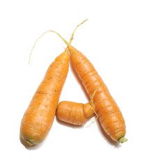 Alphabet letter A arranged from fresh carrots isolated