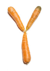 Alphabet letter Y arranged from fresh carrots isolated