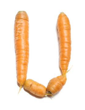 Alphabet letter U arranged from fresh carrots isolated