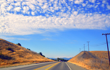 Tree Road Valley desert California.