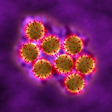 Rotavirus Cells - in fluid