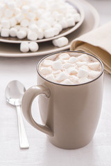 Fototapeta na wymiar Cocoa with mini marshmallows