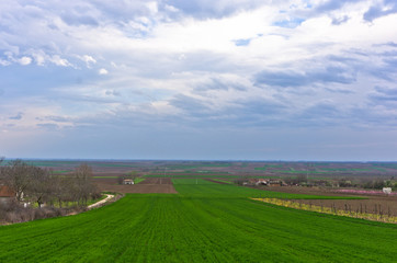 Agricultural fields near Danube river in early spring