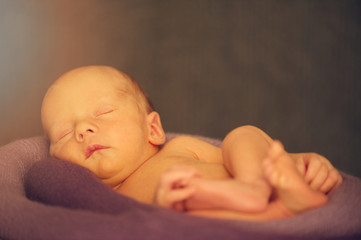 Small Sleeping Newborn Baby in Basket