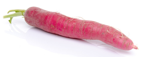 Fresh red radish