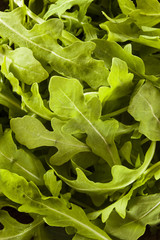 Organic Raw Green Arugula