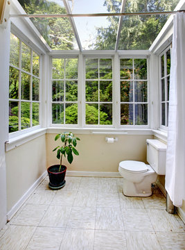 Countryside bathroom with glass wall and ceiling