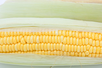 Corn fresh from the farm isolate on white