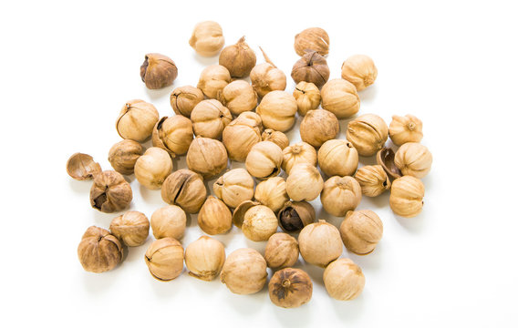 Amomum krervanh Pierre ,Siam Cardamom on white background