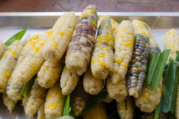texture of cooked peeled corn pod. There are parti-colored of wh