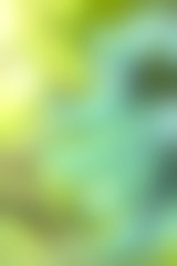 blurred green background texture