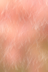 Fototapeta premium blurred colorful light trails