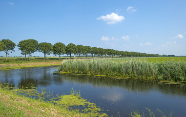 Obraz na płótnie Canvas Canal through a rural landscape in summer