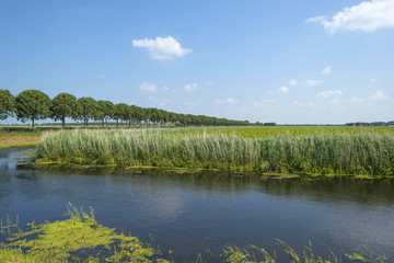 Canal through a rural landscape in summer