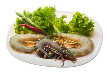 King and waterleg shrimps