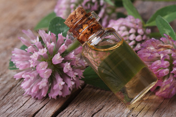 clover  tincture in a bottle nd flowers macro horizontal