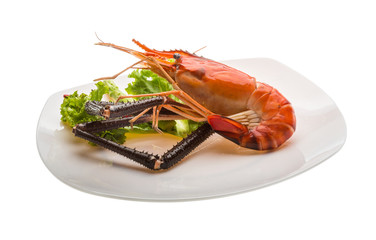 Giant Freshwater Prawn