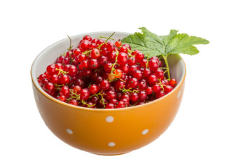 Red currant