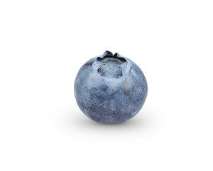bilberry