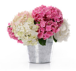 bunch of hydrangea