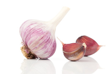 Garlic isolated on white background