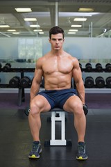 Fototapeta na wymiar Muscular man exercising with dumbbells in gym