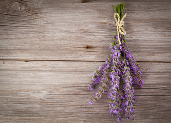 lavender flower