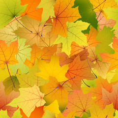 Naklejka na ściany i meble Seamless background of autumn leaves, vector illustration.