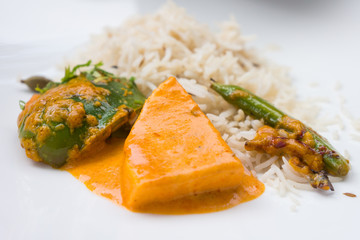 Indisches Essen mit Reis - Shahi Paneer