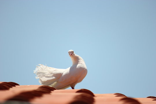 Posta G&ouml;ndermek