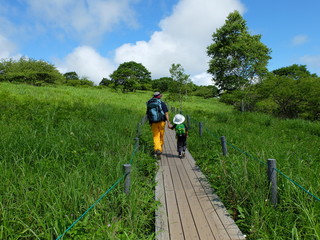 湿原　高原　八島湿原