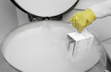stockage liquide cryogénique - 0917