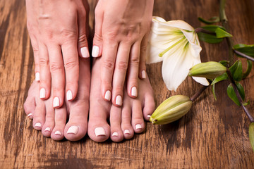 Female feet and hands