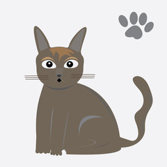 Cat on white background vector