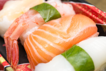 サーモン 海老 寿司 sushi