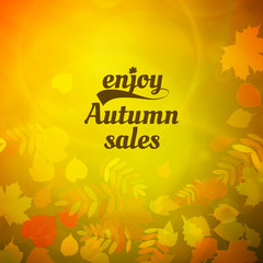 Autumn sale design template.