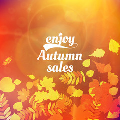 Autumn sale design template.