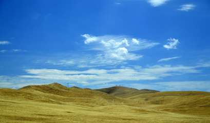 Tree Road Valley desert California.