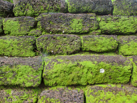 Old stone wall with green moss