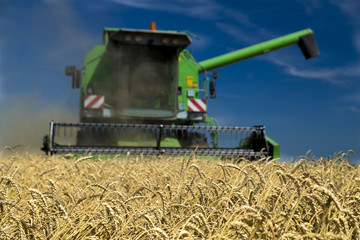 Combine harvester in action on wheat field