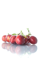 cherry-plum