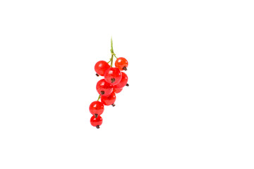 Redcurrant isolated on the white background