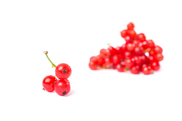 Redcurrant isolated on the white background