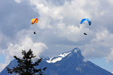 paragliders in the Alps