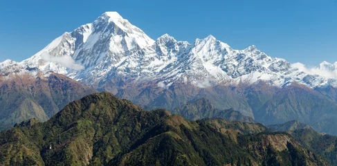 Photo sur Plexiglas Dhaulagiri View of mount Dhaulagiri - Nepal