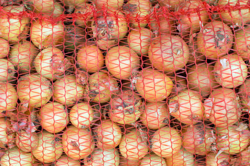 Yellow onions in a red net bag