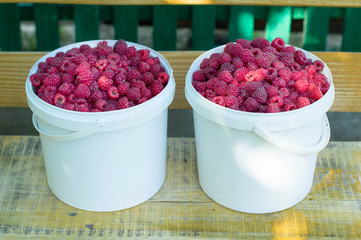 Two buckets with freshen red  raspberry