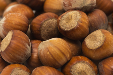 hazelnuts