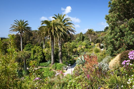 Abbey Gardens, Tresco